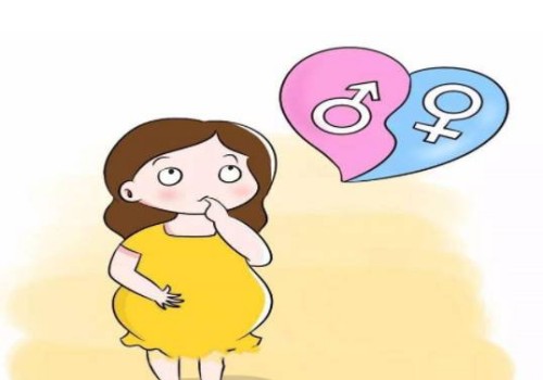 2023俄罗斯自助试管婴儿攻略，三分钟带你了解全部流程！
