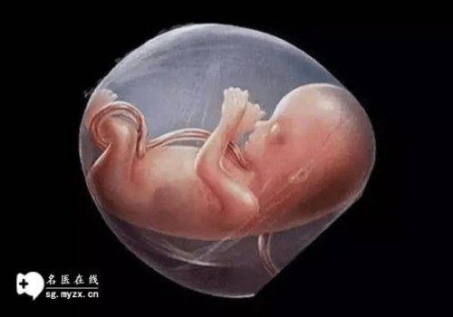 杭州助孕机构：2022正常女性备孕成功，身体会出现什么样的变化呢？
