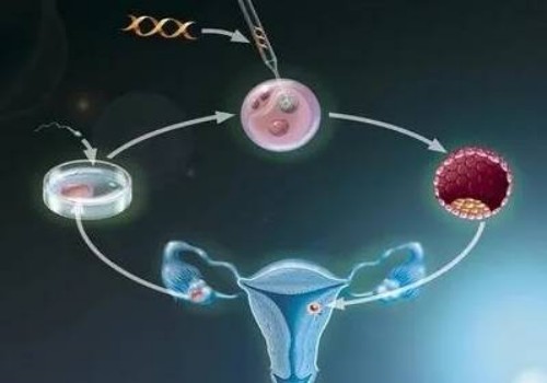 杭州助孕：母乳不够充足的解决方法,这些能够有效帮助新妈妈解决烦恼