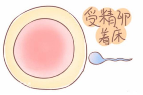 子宫内膜薄不用担心，宫腔灌注来解决