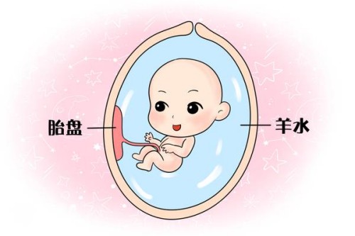 杭州助孕公司：多尿对宝宝身体的影响：多尿可以帮助婴儿的健康成长！