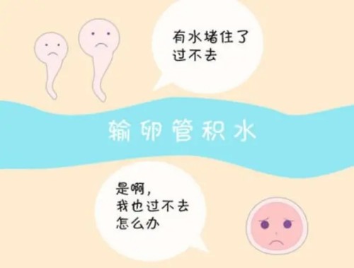 杭州正规助孕机构：男方要禁酒多久之后才能开始备孕？