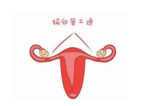 过来人分享备孕龙凤胎的方法，学会这5招一次搞定儿女双全