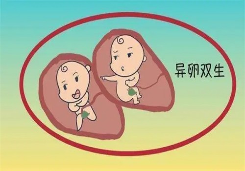 试管婴儿胚胎发育缓慢，跟这些因素有关